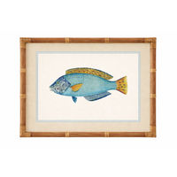 NEMO FRAME GLASS PRINT: BLUE