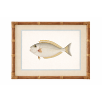 NEMO FRAME GLASS PRINT: WHITE/YELLOW