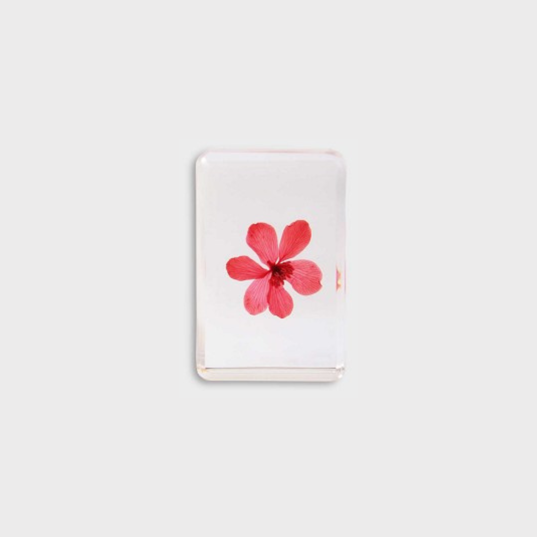 KLEVERING CUBE WILDFLOWER: SMALL