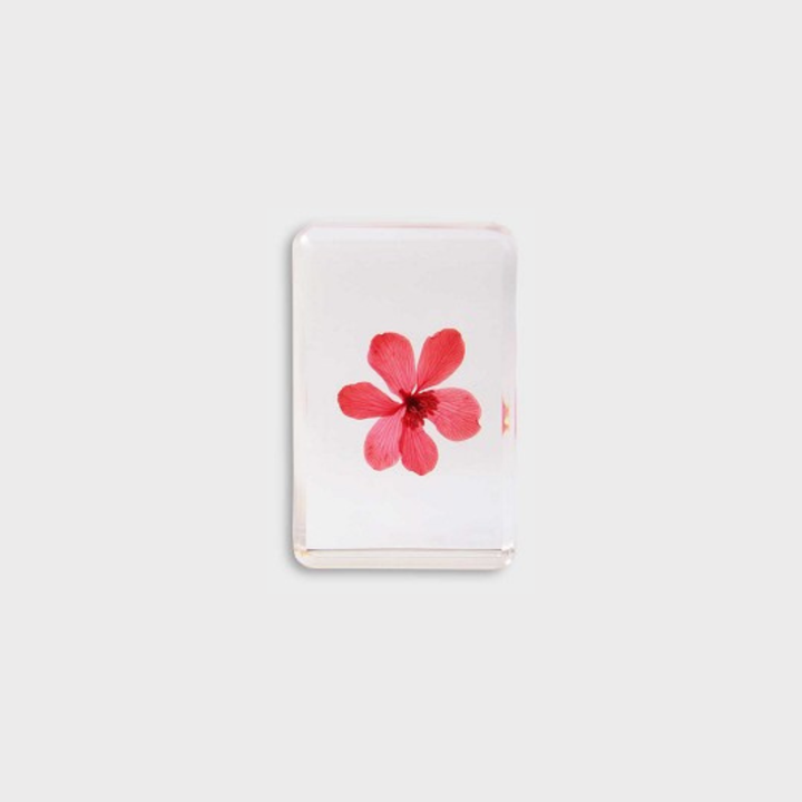 KLEVERING CUBE WILDFLOWER: SMALL