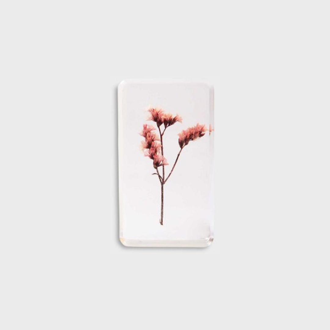 KLEVERING CUBE WILDFLOWER: LARGE