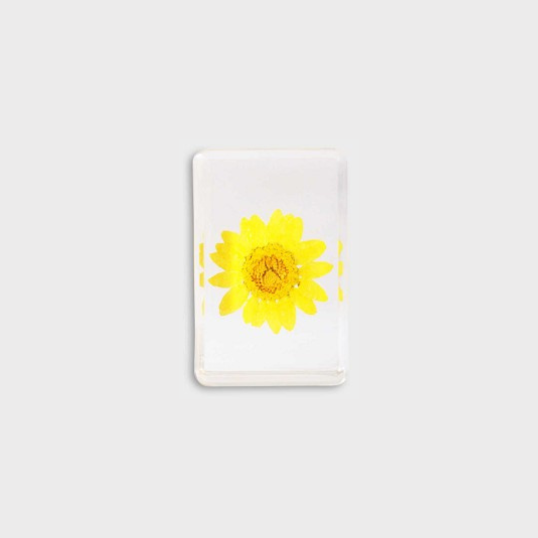 KLEVERING CUBE WILDFLOWER: SMALL