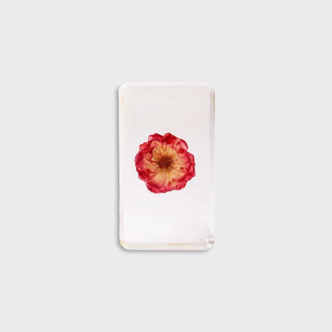 KLEVERING CUBE WILDFLOWER: LARGE
