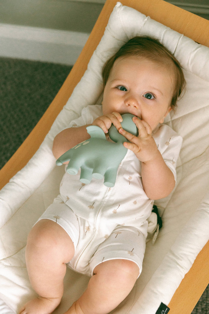 Winnie Parkes Diplo The Dino-Dragon Teether Sage