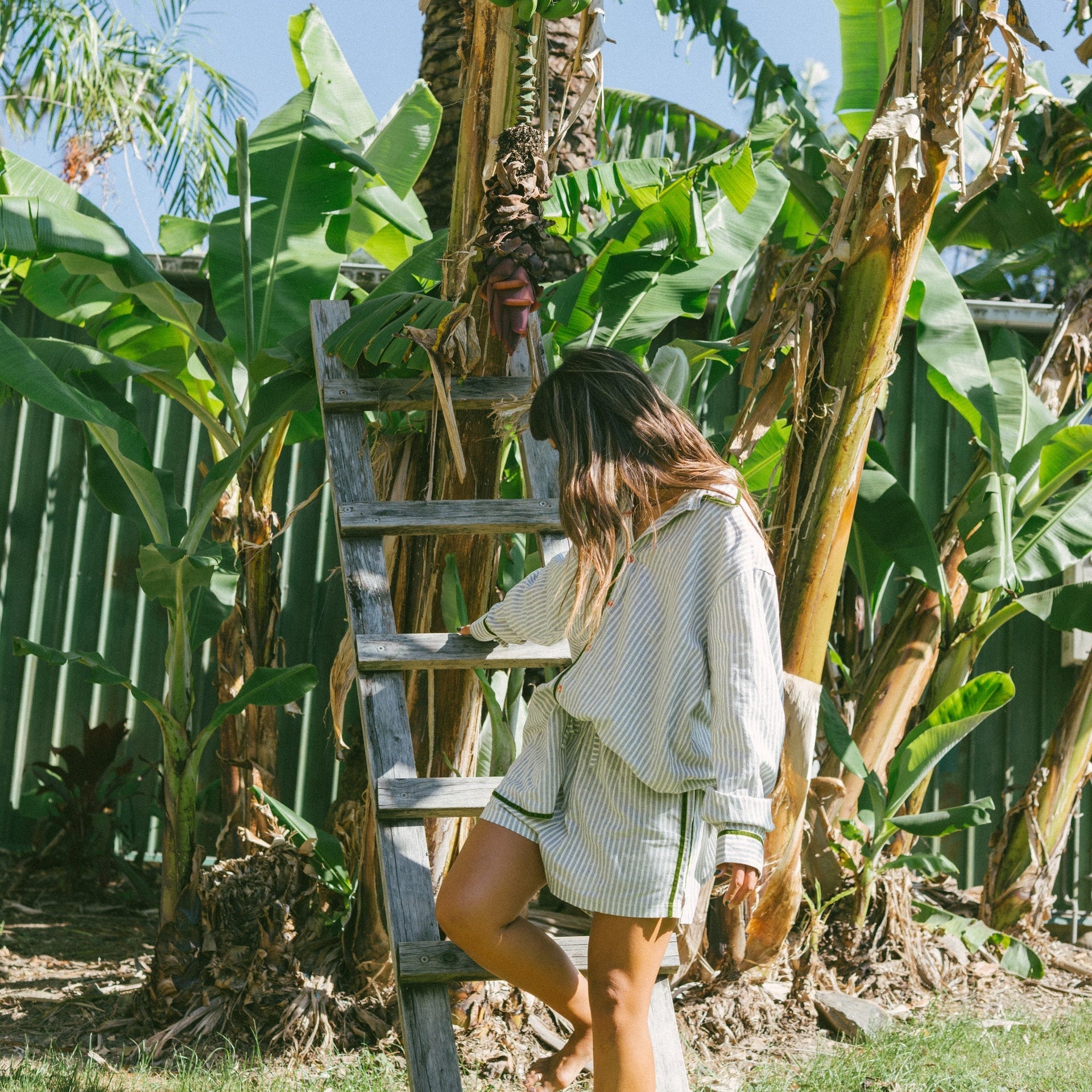 ATMOSEA SHORT: GREEN STRIPE VELVET