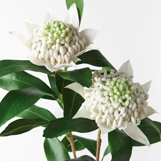 WARATAH SPRAY: WHITE 86CM