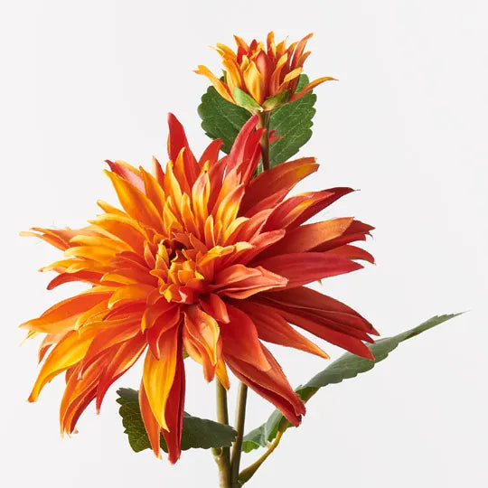 DAHLIA SPRAY: ORANGE 74CM