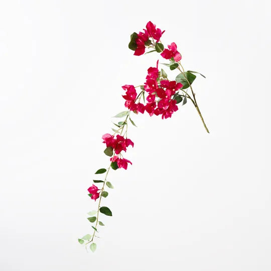 BOUGAINVILLEA HANGING SPRAY FUSCHIA: 110CM