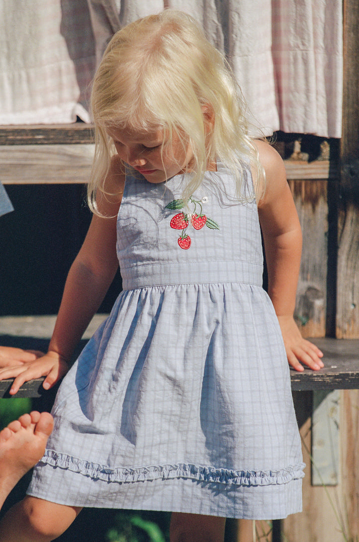 Juni Jnr Coco Dress Sky Gingham - kids dress