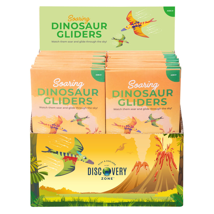 SOARING DINOSAUR GLIDERS