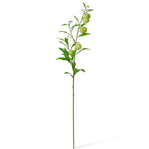 MILK WEED LEAF STEM: GRREN/114CM