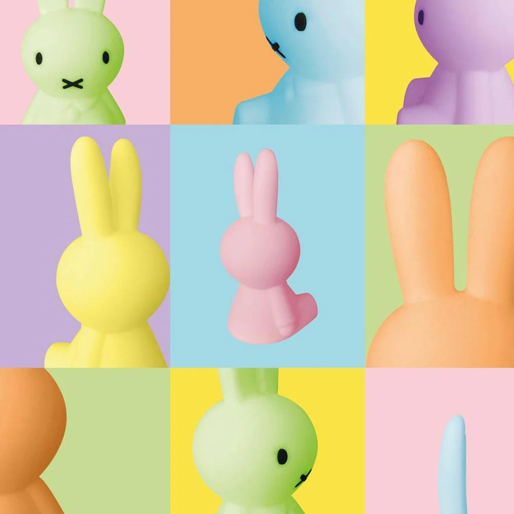 MR MARIA MIFFY COLOURFUL SURPRISE COLLECTION