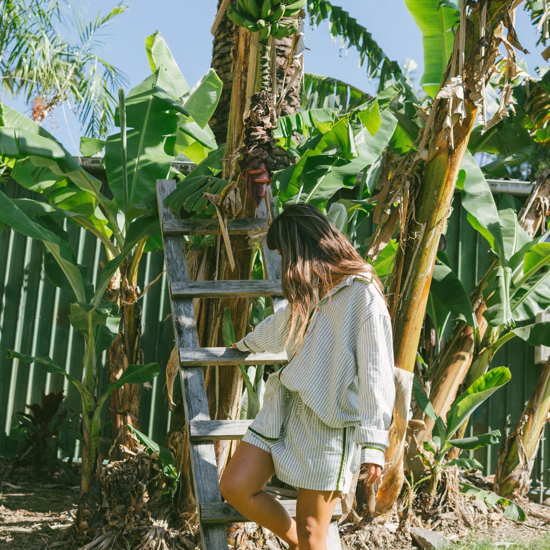 ATMOSEA PJ SHIRT: GREEN STRIPE VELVET