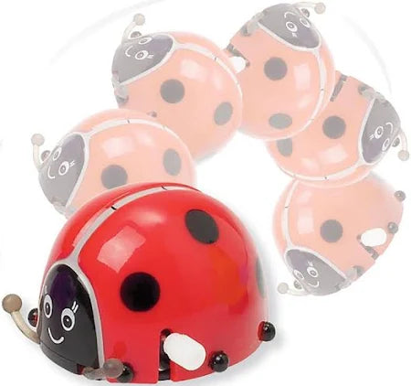 WIND UP FLIPPIN' LADY BUG