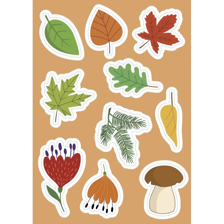SASSI STICKERS AND ACTIVITIES BOOK: NATURE