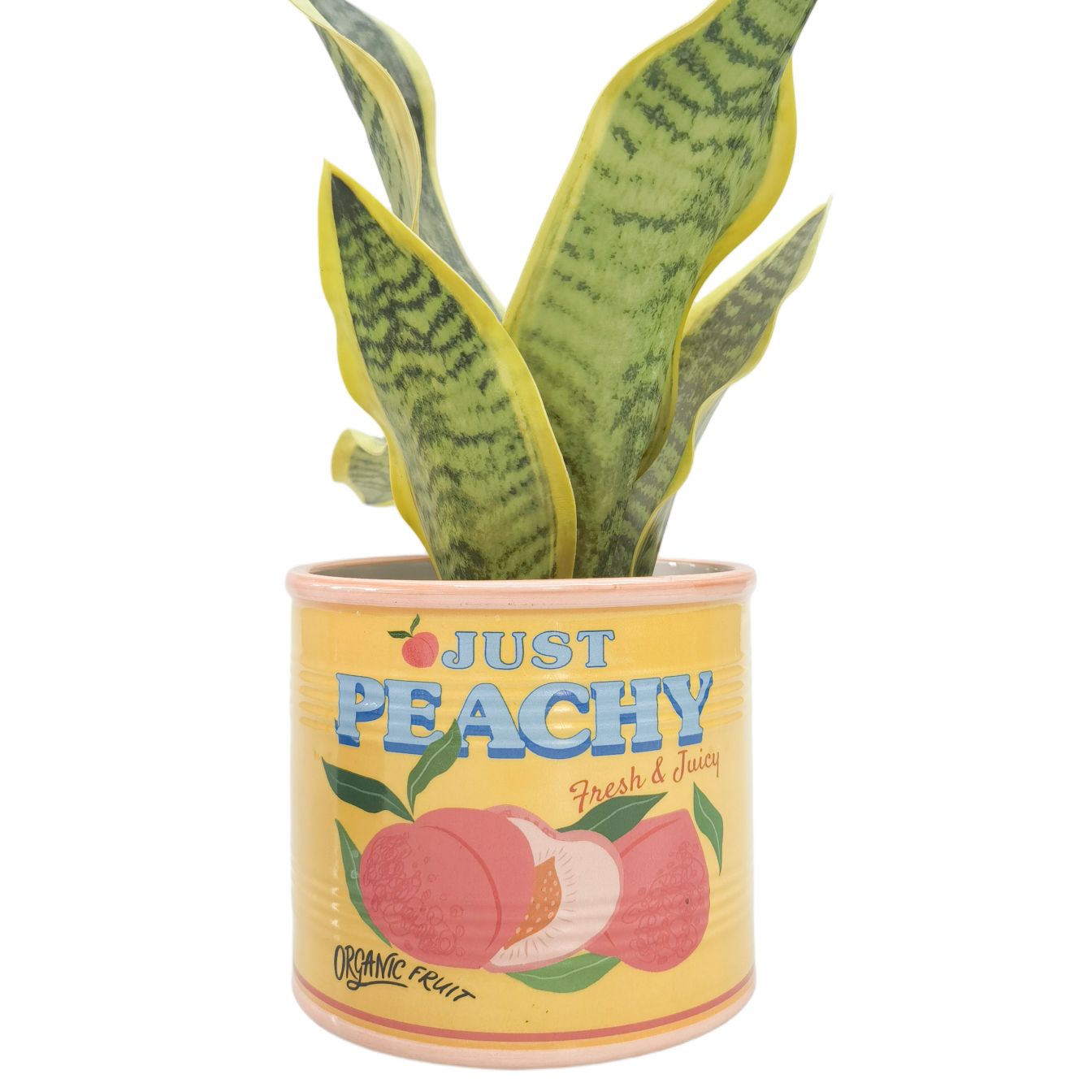 JUST PEACHY CAN PLANTER