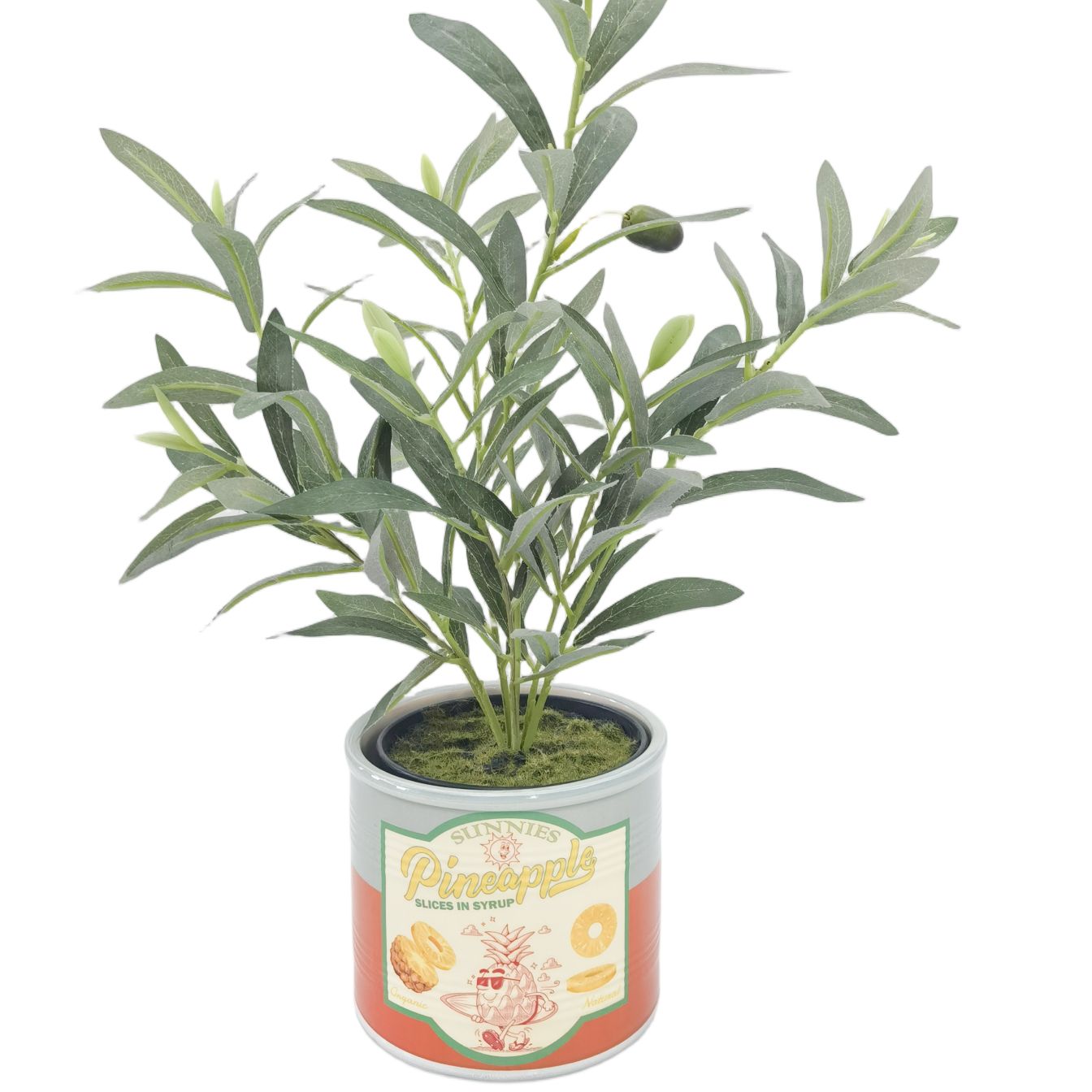 SUNNIES PINEAPPLE PLANTER