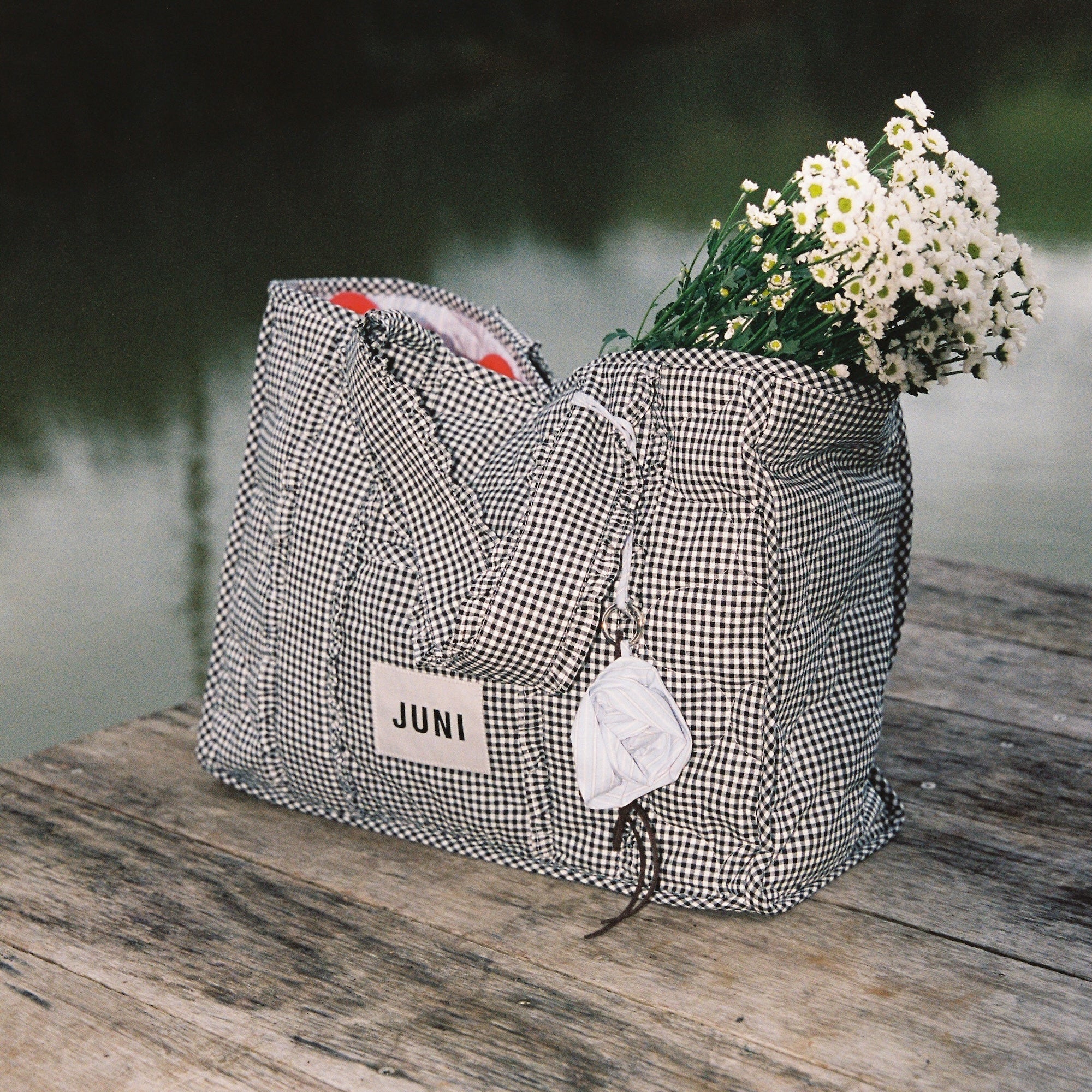 JUNI THE EVERYTHING BAG: VICHY